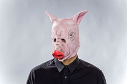 Latexmaske Schwein
