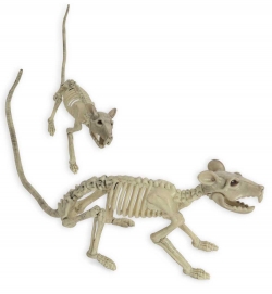 Skelett Ratte Halloween Deko