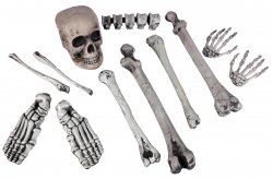 Totenkopf Schädel mit 11 Knochenteilen